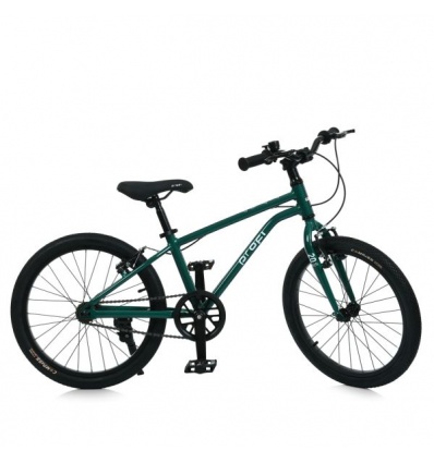Велосипед детский 20д. PROF1 MB 20LIGHTY RAIN FOREST