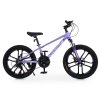 Велосипед PROFI EMOTION 20 д. ET-2002