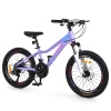 Велосипед PROFI BALANCE 20 д. BL-2002