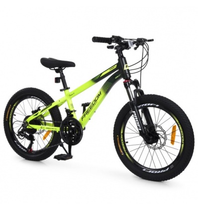 Велосипед PROFI FREEDOM 20 д. FD-2001