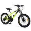 Велосипед PROFI FREEDOM 20 д. FD-2001