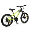 Велосипед PROFI FREEDOM 20 д. FD-2001