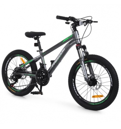 Велосипед PROFI FREEDOM 20 д. FD-2002