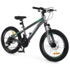 Велосипед PROFI FREEDOM 20 д. FD-2002