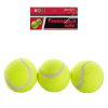 Тенисные мячи MS 0234 (80уп