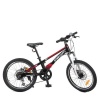 Велосипед детский PROF1 20д. LMG 20210-3 (1шт/ящ) магниевая рама, дисковый тормоз, Shimano 6SP, подн