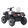 Квадроцикл M 4868EL-1(24V)