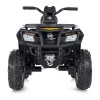 Квадроцикл M 4868EL-2-6(24V)