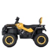 Квадроцикл M 4868EL-2-6(24V)