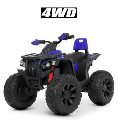 Квадроцикл M 4795EBLR-4