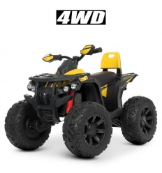 Квадроцикл M 4795EBLR-6