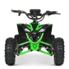 Квадроцикл HB-EATV08-350-5