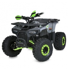 Квадроцикл HB-EATV1450F-P-5(MP3)