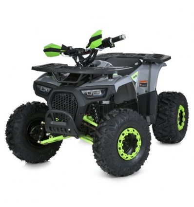 Квадроцикл HB-EATV1450F-P-5(MP3)