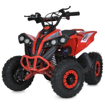 Квадроцикл E-XBW-1200-3(MP3)