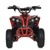 Квадроцикл E-XBW-1200-3(MP3)