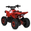 Квадроцикл E-XBW-1200-3(MP3)