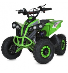 Квадроцикл E-XBW-1200-5(MP3)