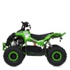 Квадроцикл E-XBW-1200-5(MP3)