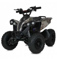 Квадроцикл E-XBW-1200S-13(MP3)