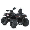 Квадроцикл M 6080EL-2(24V)