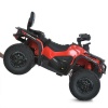 Квадроцикл M 6080EL-3(24V)