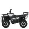Квадроцикл M 6127EBLR-1(24V)