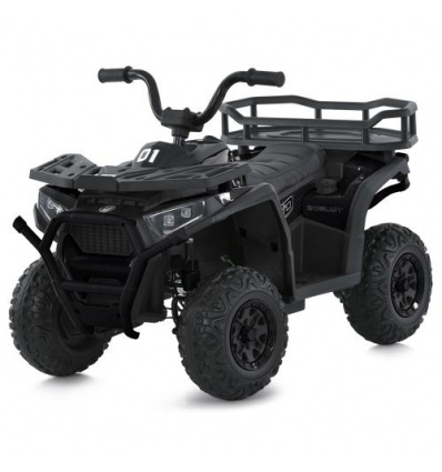 Квадроцикл M 6127EBLR-2(24V)