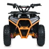 Квадроцикл HB-FFA1000-7(MP3)
