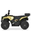 Квадроцикл M 6286EBLR-13