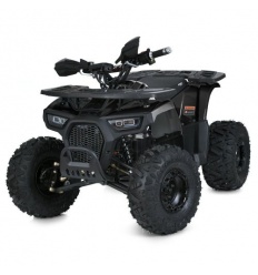 Квадроцикл HB-EATV1450F-P-2(2)(MP3)