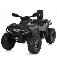 Квадроцикл M 6080EBLR-11