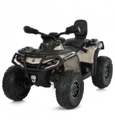 Квадроцикл M 6080EBLR-13