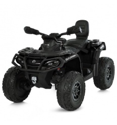 Квадроцикл M 6080EBLR-2