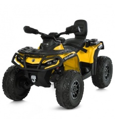 Квадроцикл M 6080EBLR-6