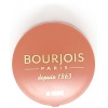 Румяна 13234 "BOURJOIS" "Pastel Joues" re-pack 85