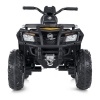 Квадроцикл M 4868EL-2-6(24V)