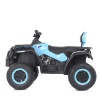 Квадроцикл M 4868EL-4(24V)