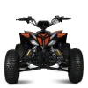 Квадроцикл E-FOX-1450-7
