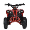 Квадроцикл E-XBW-1200-3(MP3)