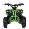 Квадроцикл E-XBW-1200-5(MP3)