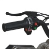 Квадроцикл E-XBW-1200S-13(MP3)