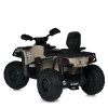 Квадроцикл M 6080EL-13(24V)
