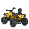 Квадроцикл M 6080EL-6(24V)