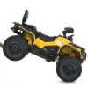 Квадроцикл M 6080EL-6(24V)
