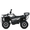 Квадроцикл M 6127EBLR-1(24V)
