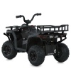 Квадроцикл M 6127EBLR-2(24V)