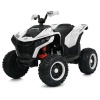 Квадроцикл M 6128EBLR-1(24V)