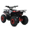 Квадроцикл HB-FFA1000-3(MP3)