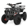 Квадроцикл HB-EATV1000N-19